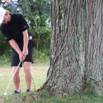 article image - 0817 mocello tree5